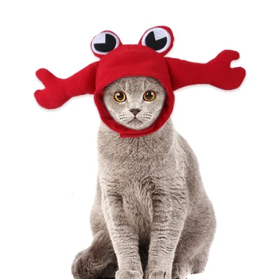 Mode Winter weiche warme Haustier Katze Hund Hut süße Krabbe Frosch Haustier Kopfbedeckung Haustier Bekleidung Produkte